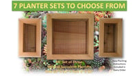 Image 1 of Vertical Succulent Planter Box Sets - Saves Money