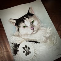 Image 3 of "Single" Pet Portrait
