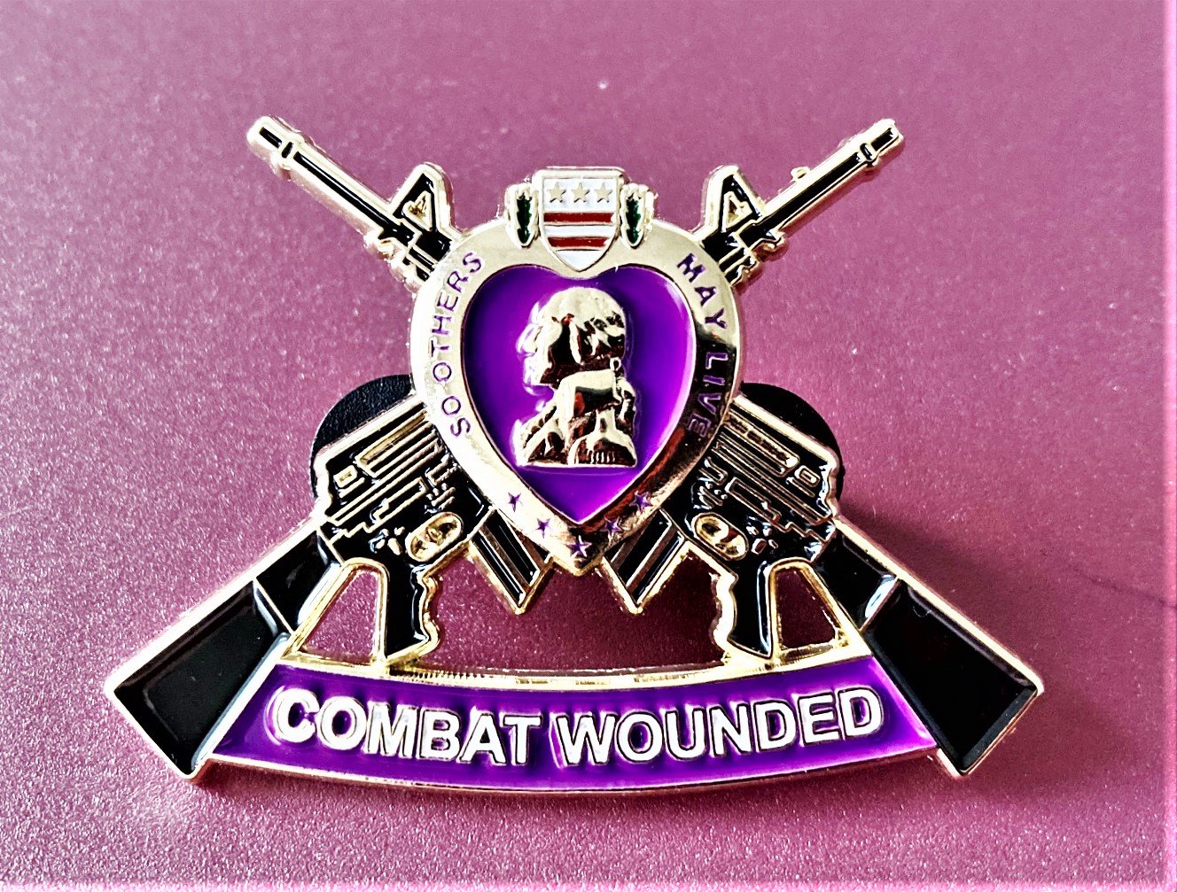 Image of Combat Wounded Crossed M16's pin