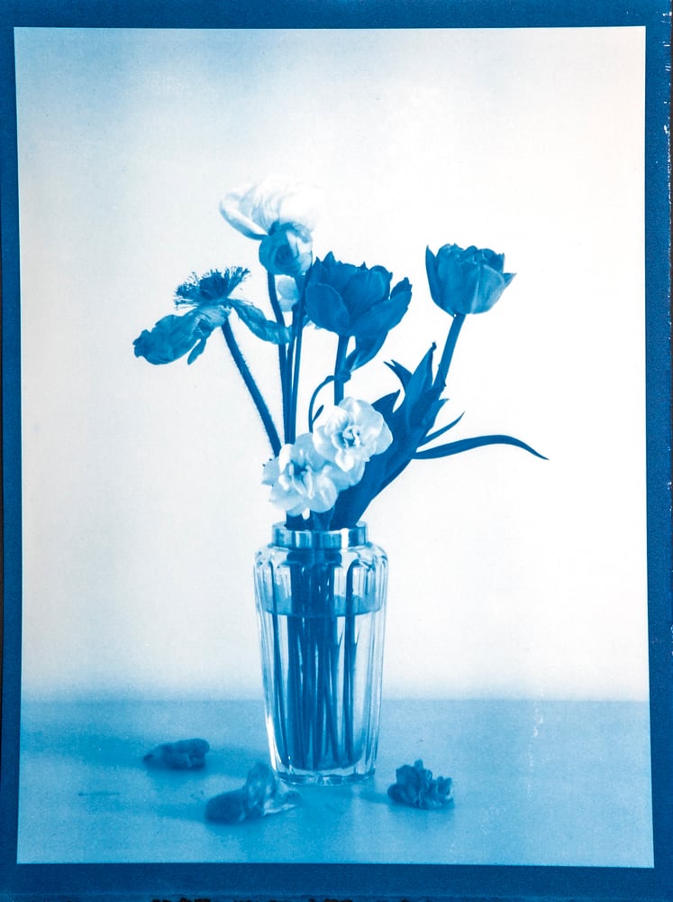 Image of Elisabeth Scheder-Bieschin Blumenstudie (Flower Study), 2021