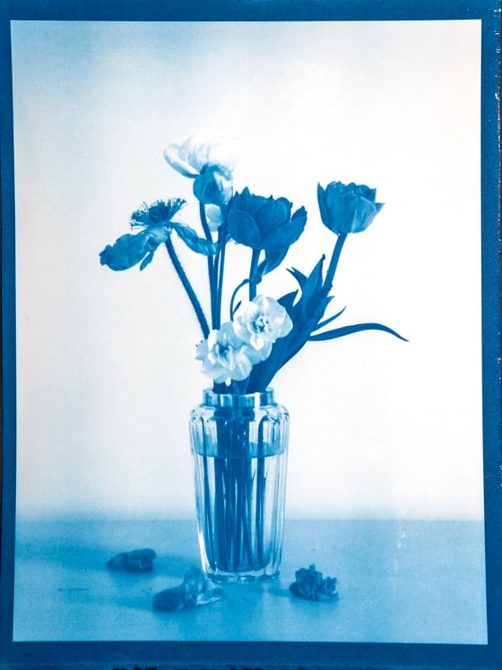 Image of Elisabeth Scheder-Bieschin Blumenstudie (Flower Study), 2021