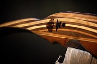 Image 1 of 2020-12: Black Walnut Hybrid