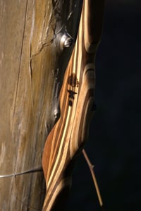 Image 4 of 2020-12: Black Walnut Hybrid