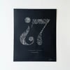 7 MYSTERY PRINTS