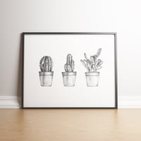 Cactus Collection Limited Edition Signed Print