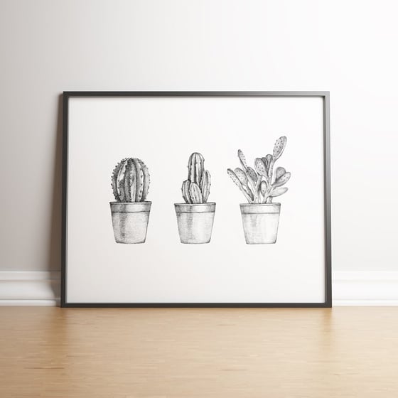 Image of Cactus Collection Limited Edition Signed Print