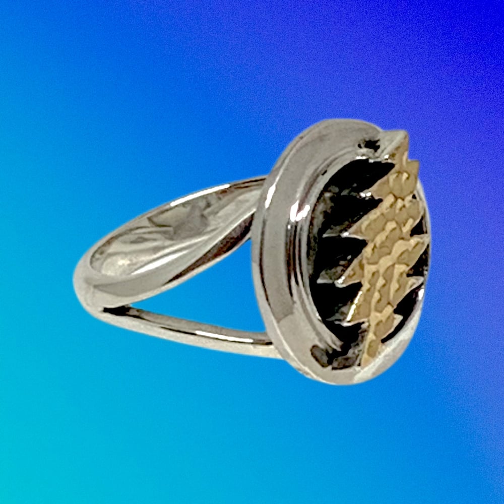 Image of 14K Bolt in Circle Ring