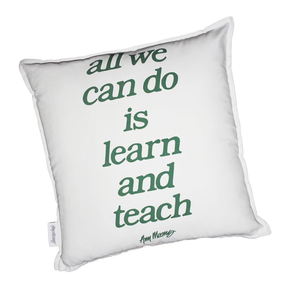 Image of Learn and Teach Double Sided Cushion