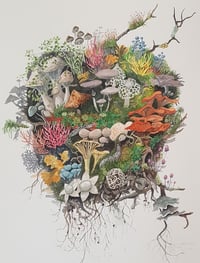 Image 2 of Fungi Raft giclee fine art print