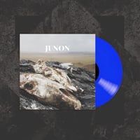 The Shadows Lengthen Blue LP