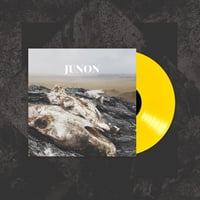 The Shadows Lengthen Yellow LP