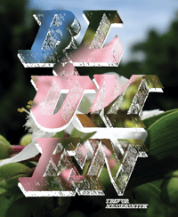 Image 1 of "Blümen" Book