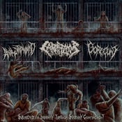Image of ANAL STABWOUND/CARNIFLOOR/GORECUNT-Subjected to Insanity through Solitary Confinement CD