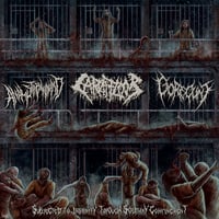 ANAL STABWOUND/CARNIFLOOR/GORECUNT-Subjected to Insanity through Solitary Confinement CD