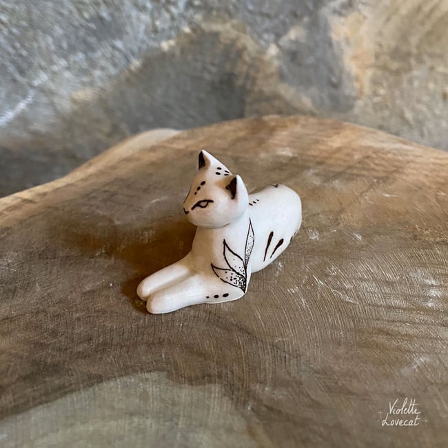 Little cat