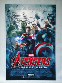 Image 1 of Avengers Stellan Skarsgård Signed 12x8