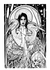 Image 1 of Boann-Reedreaper