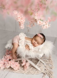 Image 4 of Newborn Session Retainer