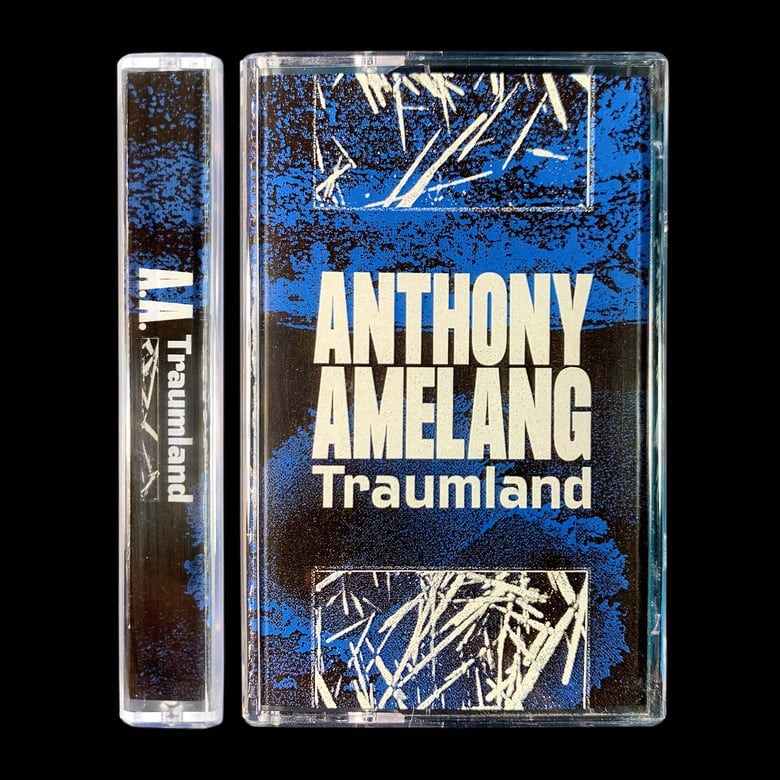 Image of Anthony Amelang - Traumland [NCNH23]
