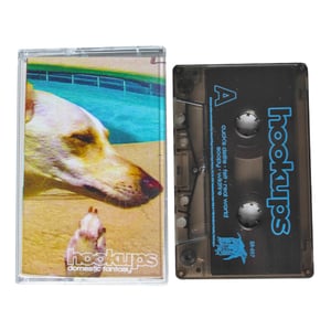 Image of HOOK UPS "Domestic Fantasy" CS