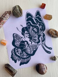 Butterfly Beauties Print