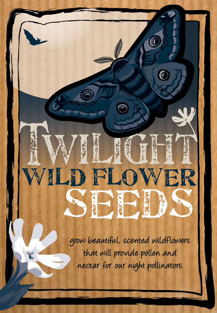 Image of NEW Twilight Wildflower Seeds for Moths (£3.00 including VAT)