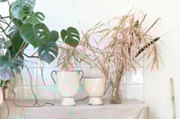 Image 1 of VASO LATTE