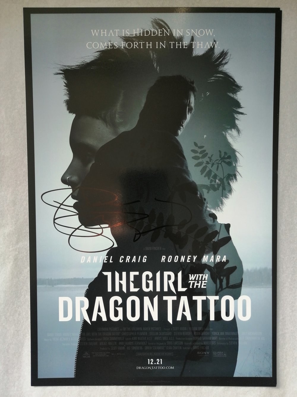 Stellan Skarsgård Signed Dragon Tattoo 12x8 