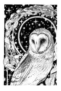 Image 1 of Willow Owl