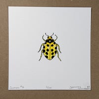 Small Painting - Beetle #1