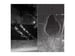 Image of Simulation