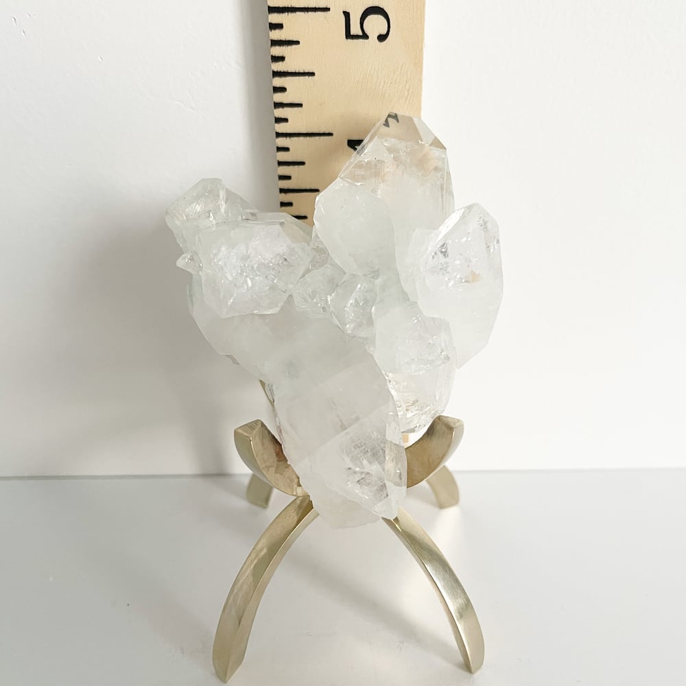 Image of Apophyllite no.96 + Brass Claw Stand