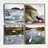 Birds Greetings Cards set