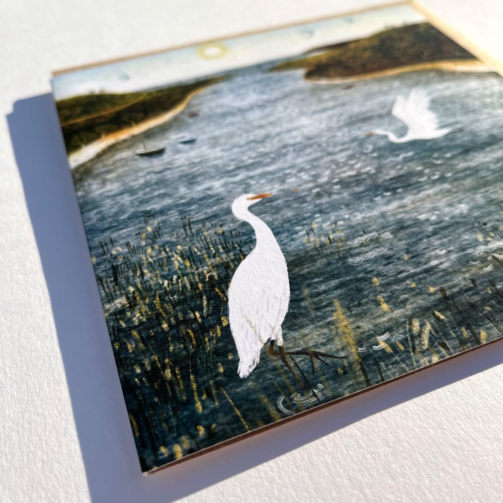 Birds Greetings Cards set