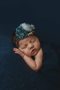 Image 5 of Newborn 