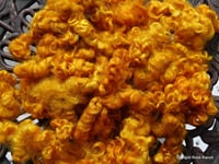 Image 2 of 4.64 ounces Gotland x BFL Locks dyed in Gold - ON SALE