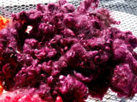 Image 2 of 4.5 ounces Gotland x BFL Locks dyed in Burgundy - ON SALE for 20% off