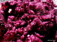 Image 1 of 4.5 ounces Gotland x BFL Locks dyed in Burgundy - ON SALE for 20% off