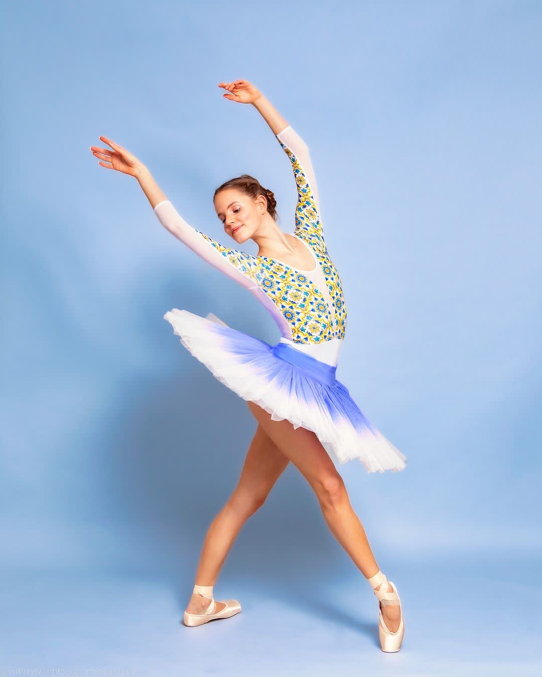 Image of PASSIONE leotard long sleeve - pattern