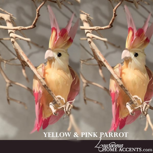 Image of Parrot Feathered Bird Yellow and Pink