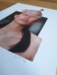 Image 2 of 'Bag For Life'