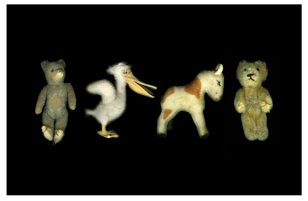 Image of "Bear, Pelican, Pony, Bear" by Claire Rosen
