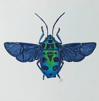 Image 3 of Chrysocoris Beetle Watercolor Illustration ORIGINAL ARTWORK 