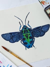 Image 4 of Chrysocoris Beetle Watercolor Illustration ORIGINAL ARTWORK 