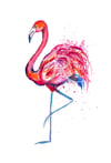 Flamingo Print