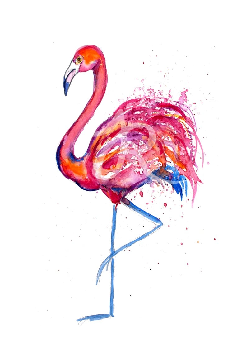 Flamingo Print