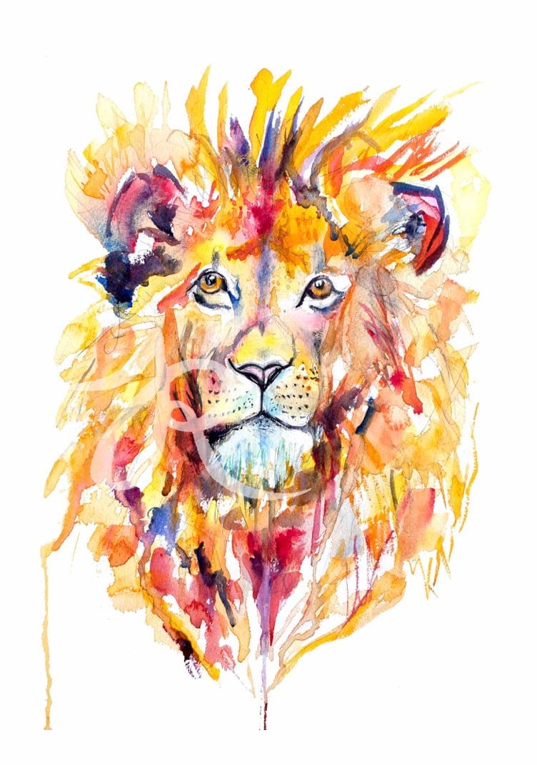 Lion