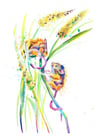 Harvest Mice