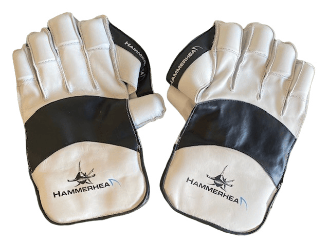 WICKET KEEPING EQUIPENT