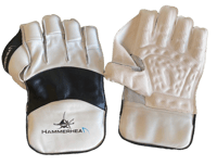 Image 2 of WICKET KEEPING EQUIPENT